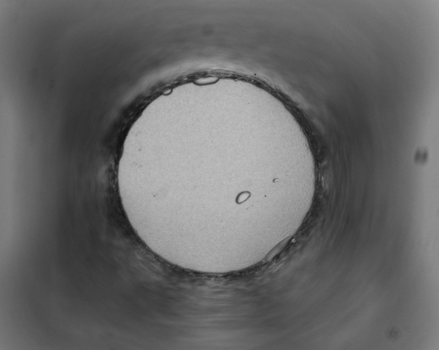 X0000101441495200808041202