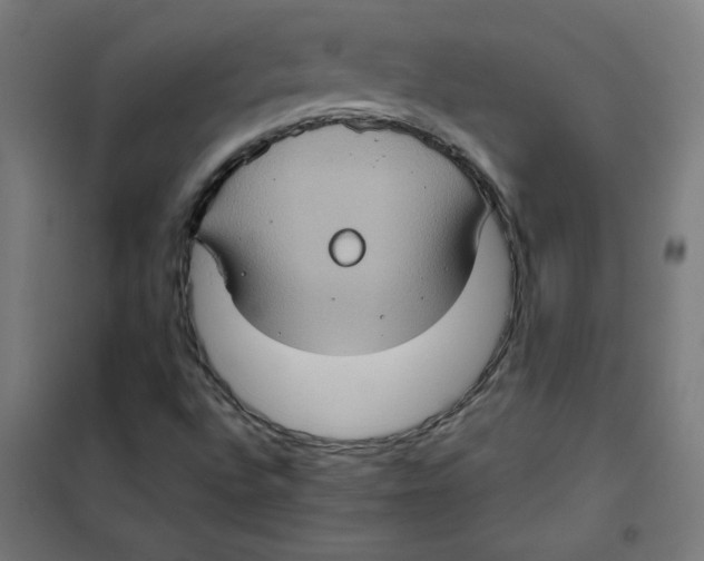 X0000101441496200808041202