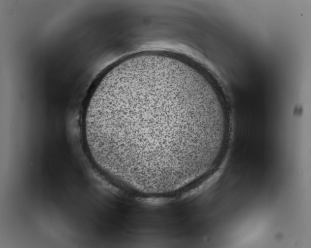 X0000101441497200808041202