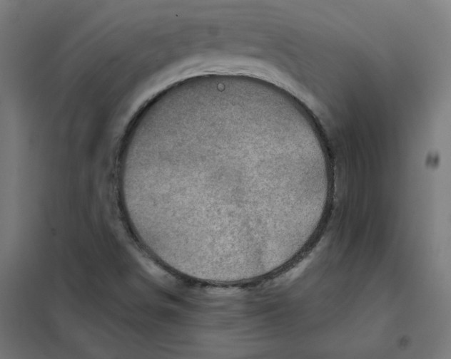 X0000101441498200808041202