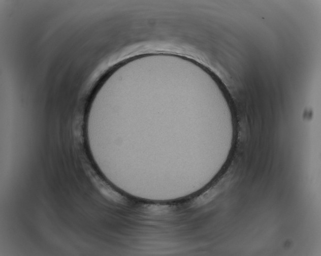 X0000101441499200808041202