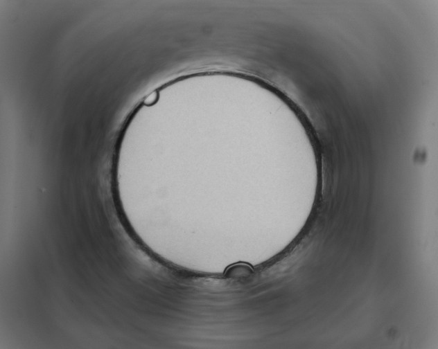 X0000101441500200808041202