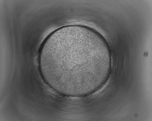 X0000101441501200808041202