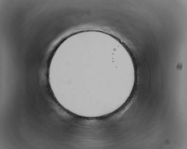 X0000101441502200808041202