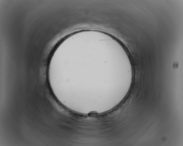 X0000101441503200808041202