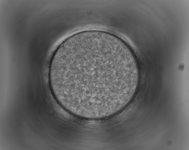 X0000101441504200808041202