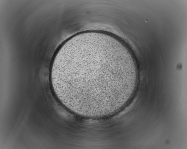 X0000101441505200808041202