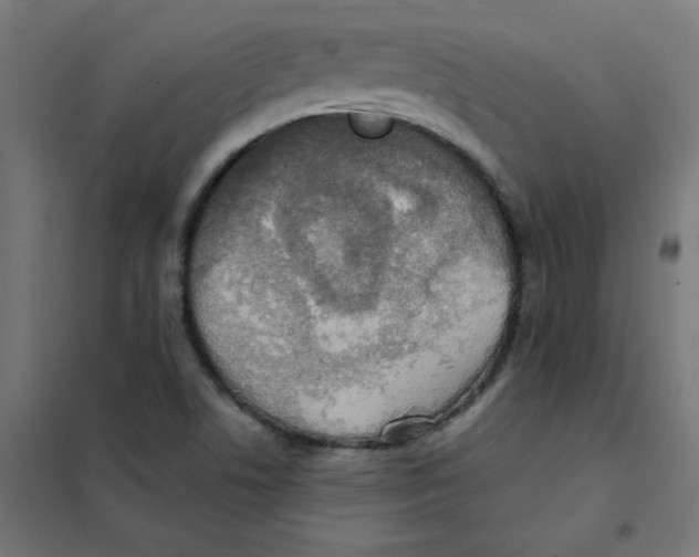 X0000101441506200808041202