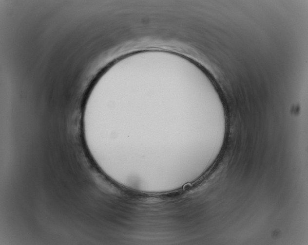 X0000101441507200808041202