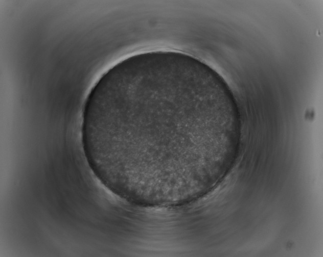 X0000101441508200808041202