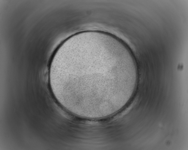 X0000101441509200808041202