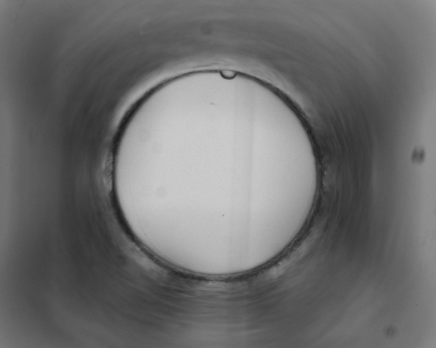 X0000101441510200808041202