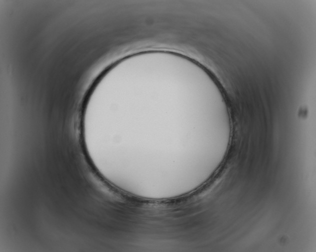 X0000101441511200808041202