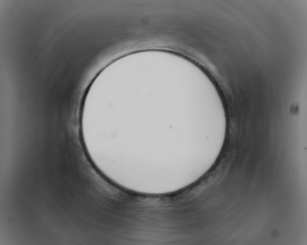 X0000101441512200808041202