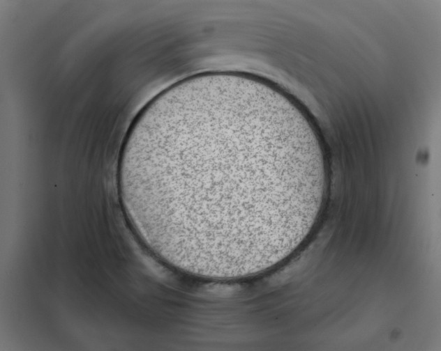 X0000101441513200808041202