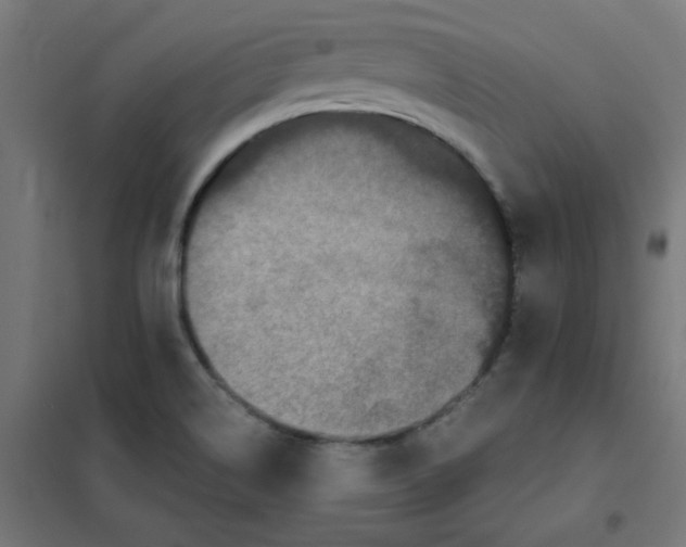 X0000101441514200808041202