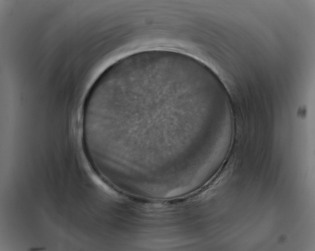 X0000101441515200808041202