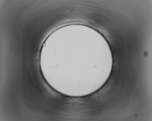 X0000101441516200808041202