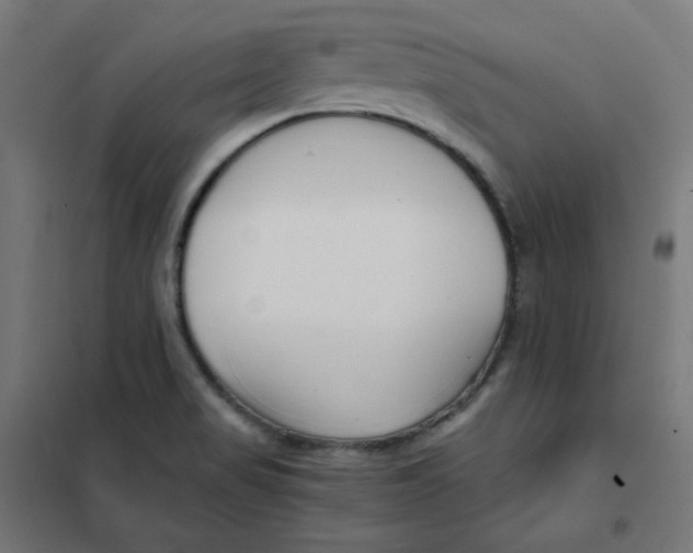 X0000101441517200808041202