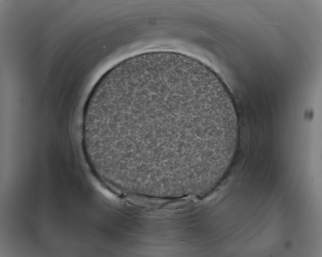 X0000101441519200808041202