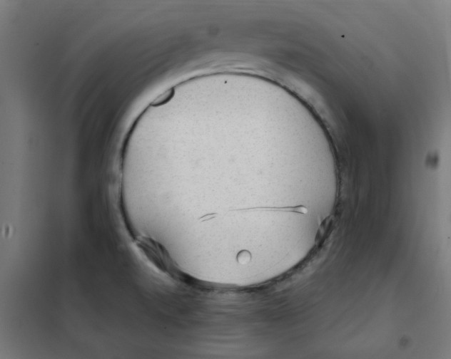 X0000101441520200808041202