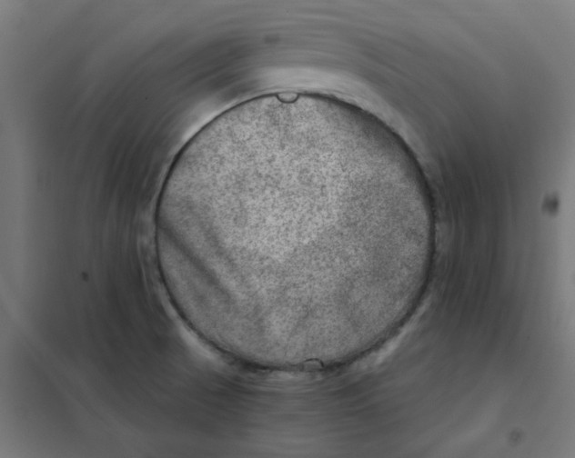 X0000101441521200808041202