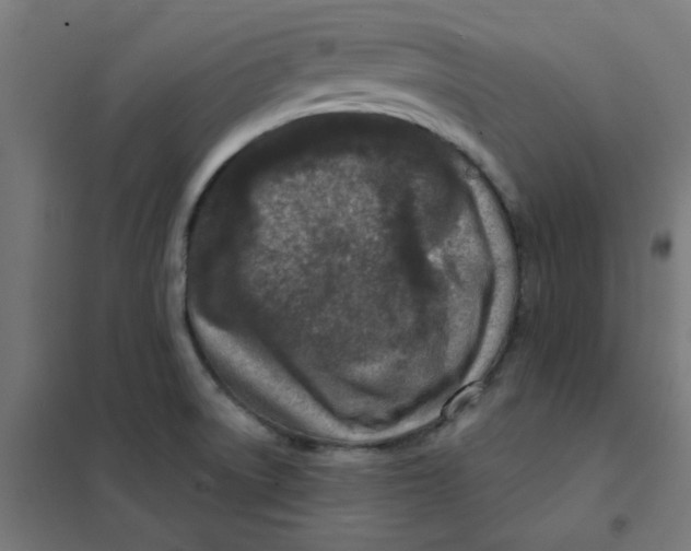 X0000101441522200808041202