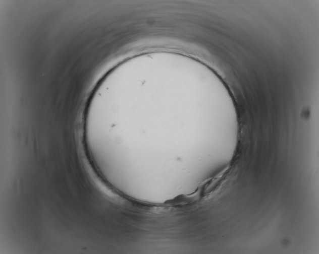 X0000101441523200808041202