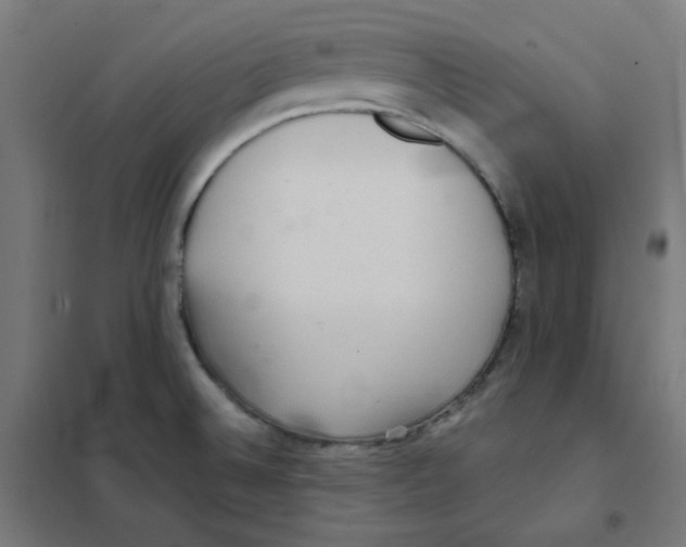 X0000101441524200808041202