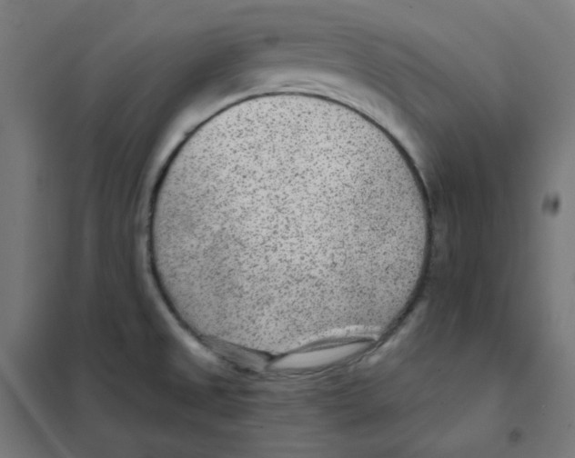 X0000101441525200808041202