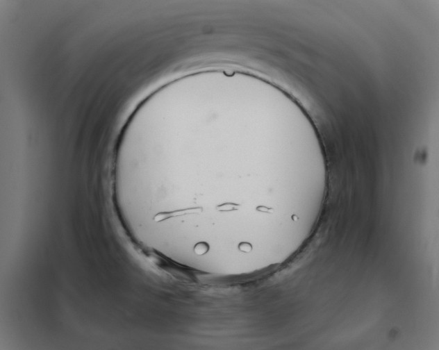 X0000101441526200808041203