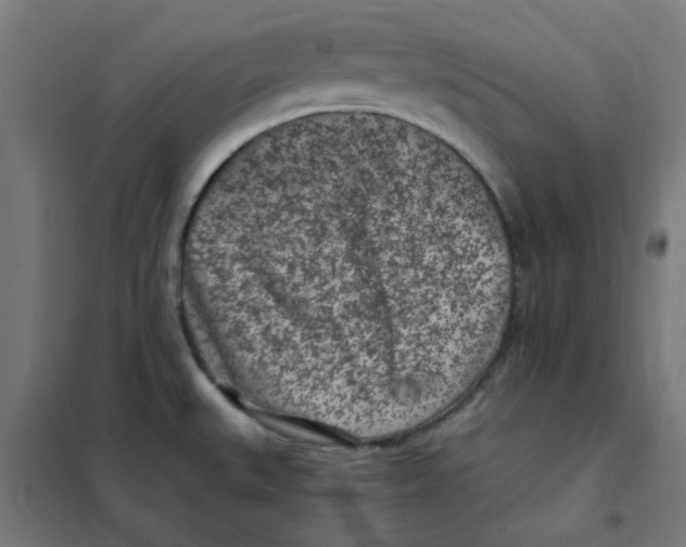 X0000101441527200808041203