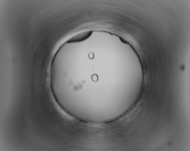 X0000101441528200808041203