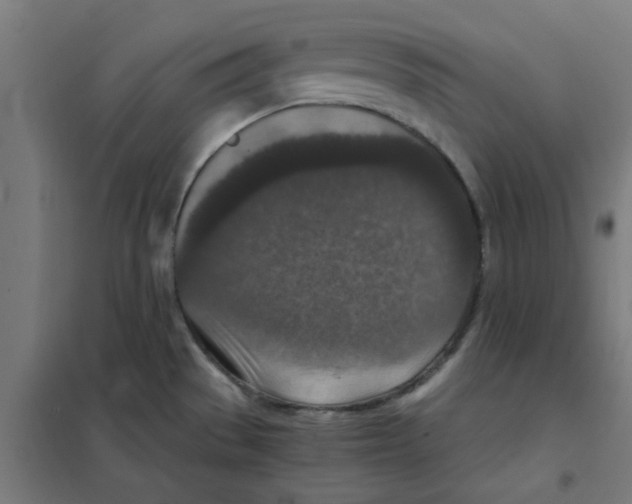 X0000101441529200808041203