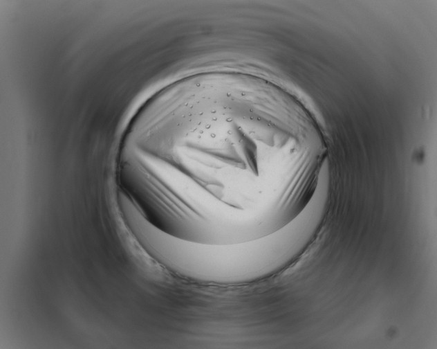 X0000101441530200808041203