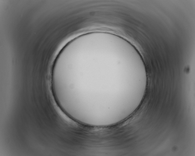 X0000101441531200808041203