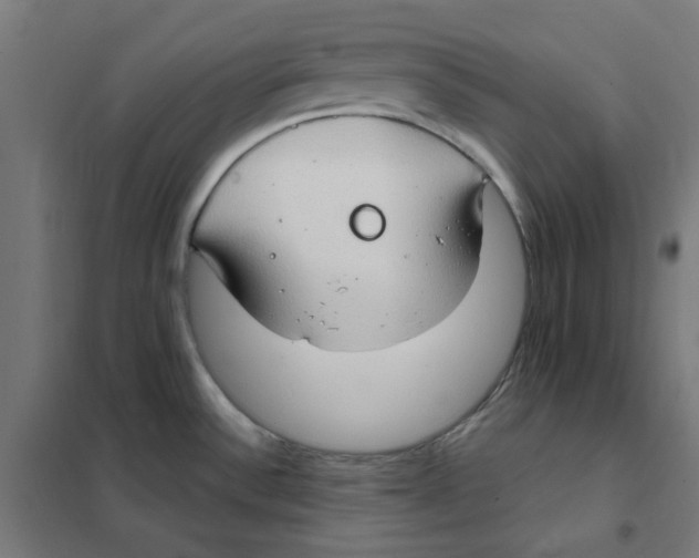 X0000101441532200808041203