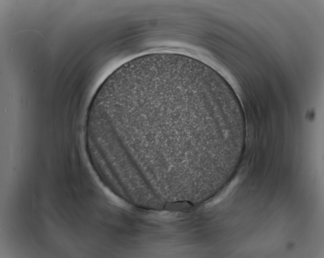 X0000101441533200808041203