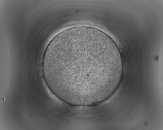 X0000101441534200808041203