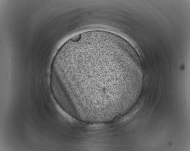 X0000101441535200808041203