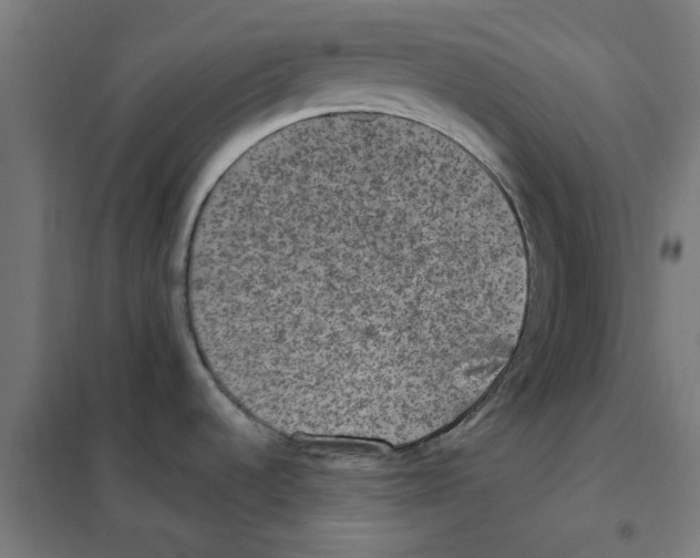 X0000101441536200808041203