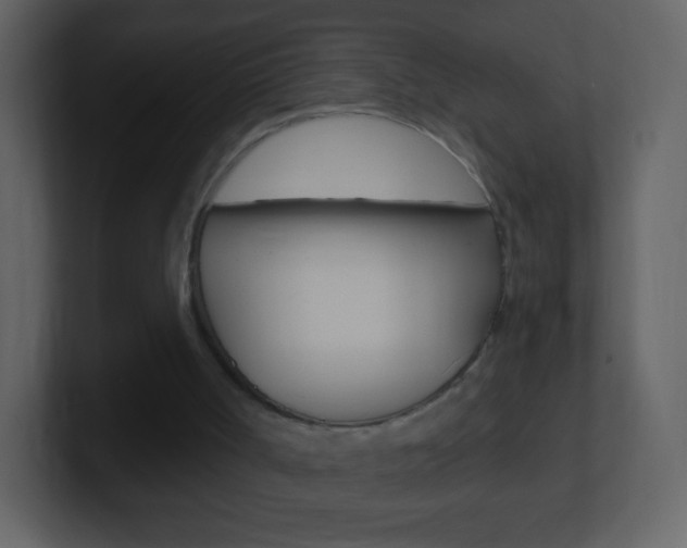 X0000101450002200807071120
