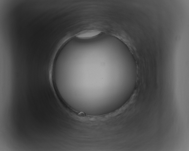 X0000101450003200807071120