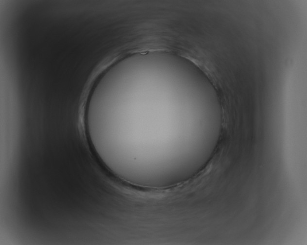 X0000101450004200807071120