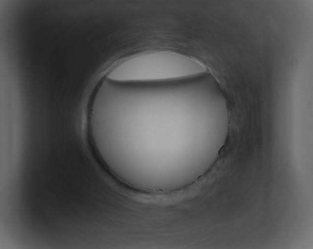 X0000101450005200807071120