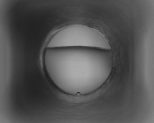 X0000101450006200807071120