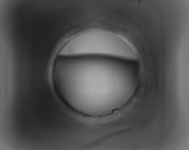 X0000101450007200807071120