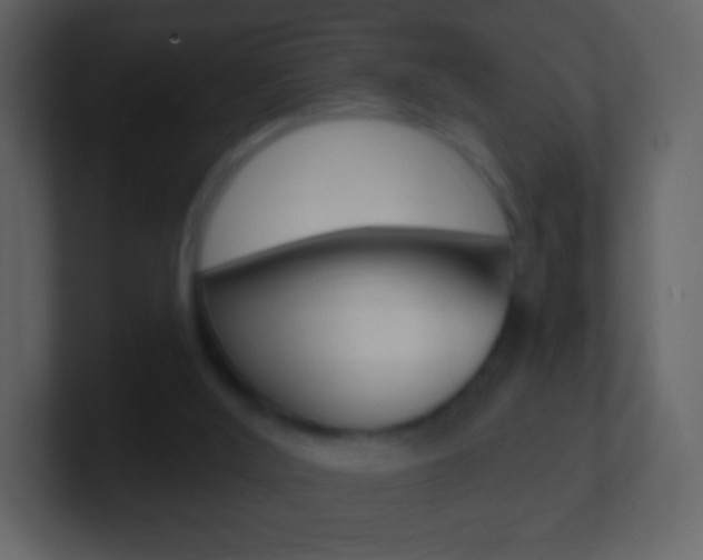 X0000101450012200807071120