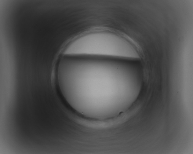 X0000101450015200807071120