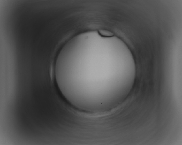 X0000101450019200807071120